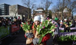 Amsterdam lale bahçesine döndü, Ulusal Lale Günü'nden kareler