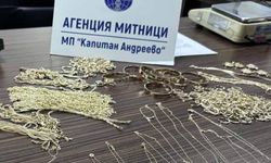 Bulgaristan'da Türk yolcunun üstünden 45 bin euroluk altın ziynet çıktı