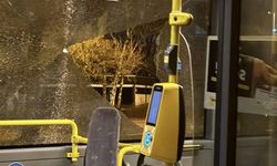 Belçika'nın Anvers kentinde otobüslere saldırılar arttı, şoförler iş bıraktı
