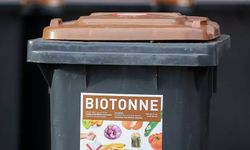 Almanya’da biyolojik çöpleri doğru şekilde ayrıştırmayana 2500 euro ceza