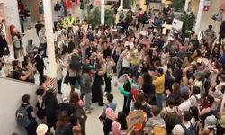 Hollanda'da Filistin'e destek veren öğrenciler üniversiteleri işgal etti