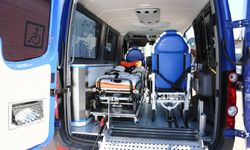 Almanya'da alkollü ambulans şoförü, hasta araçtayken yol kenarına çekip uyudu