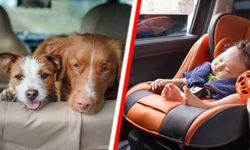 Fransa’da bir bebek, Hollanda'da da iki köpek araçta unutulduğu için hayatını kaybetti