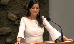 Hollanda’da Çözülmemiş Cinayetlere Ulusal Çözüm Çağrısı