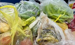 Türkiye’den dönen gurbetçinin bavulunda 29 kilo yiyecek ele geçirildi