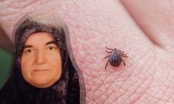 Tatil için Türkiye'ye giden gurbetçi keneden hayatını kaybetti
