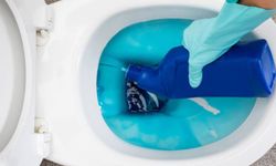Almanya’da WC temizleyicileri testi: İki ünlü markadan uzak durun