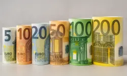 Euro banknotları yenileniyor: Tasarımda nehirler ve kuşlar yer alacak