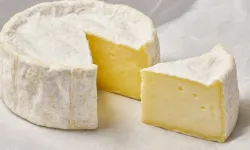 Fransa’da listeria bakterili peynir iki can aldı: 21 kişi hastanelik oldu