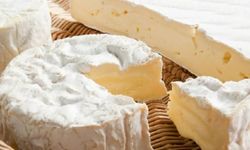 Hollanda’da bir kişi Fransız peynirinden listeria bakterisi kaptı
