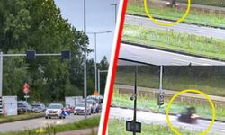 Hollanda'da Lisa’nın ölümüyle ilgili üç tanık için halktan yardım istendi