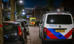 Rotterdam’da köpeklerin saldırısına uğrayan adam hayatını kaybetti
