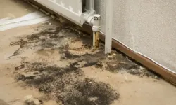 Sonbaharda evde nem, küf ve kötü kokuları önlemenin yolları