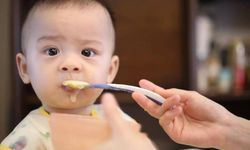 Fransa’da bebek mamaları küf nedeniyle geri çağrıldı