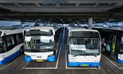 Amsterdam’da korsan otobüs krizi: Yolcular mağdur oldu