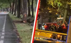 Belçika’da düğün dönüşü kaza: Üç Türk genci hayatını kaybetti