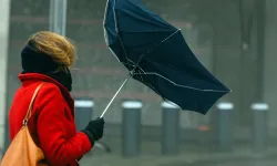 Hollanda’da hafta sonu yeniden fırtına bekleniyor