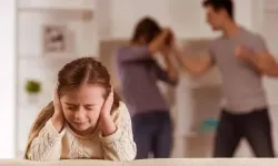 Hollanda’da aile içi şiddet vakalarında artış