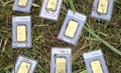 Almanya’da bir belediye çalışanı çim biçerken 30 bin euroluk altın buldu