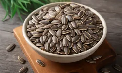 Almanya’da Türk markalı ay çekirdekleri küf toksini nedeniyle geri toplatılıyor