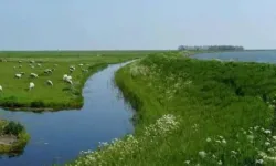 Hollanda’da su ve altyapı vergisine zam geliyor