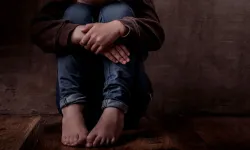 Hollanda’da bir koruyucu aile skandalı daha: Çocuklar dövüldü, köpeğe ısırtıldı