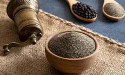 Almanya’da bir baharat Salmonella riski nedeniyle geri çağrıldı