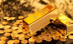 Bahçesine havuz yapmak için kazarken, 700 bin euroluk altın buldu