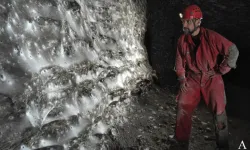 Dünyanın en büyüğü: 106 metrekarelik dev örümcek ağı keşfedildi