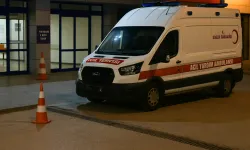 İstanbul’da, Hollandalı iki kardeş gıda zehirlenmesi şüphesiyle hastaneye kaldırıldı