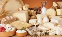 Peynir en iyi nasıl saklanır? Küflenmeden taze tutmanın yolları