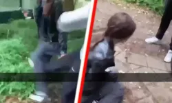 Hollanda’da paylaşılan gençler arasındaki akran zorbalığı videoları hızla artıyor