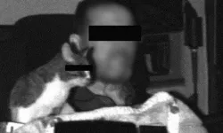 Almanya’da direksiyon başında kedisiyle yakalanan TIR şoförüne ceza