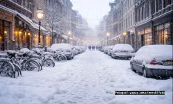 Hollanda'ya 15 santimetre kar geliyor!