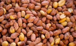 Almanya’da tuzlu fıstık testi: Bir ürün ciddi sağlık riski taşıyor