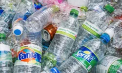 Almanya’da şişe toplayarak geçinen emeklinin sosyal yardımı kesildi