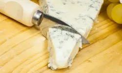 Almanya’da Aldi, Netto ve Kaufland’da satılan bir peynir geri çağrıldı