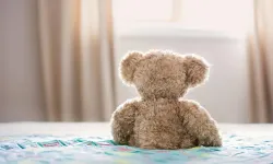 Hollanda'da evde yalnız bırakılan 2 yaşındaki bebek annesinden alındı