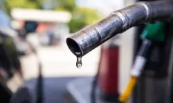 Hollanda benzin fiyatlarını düşürmek için petrol rezervlerini kullanacak