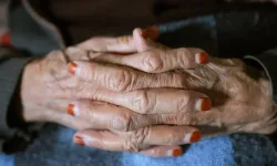 Araştırma: Uzun ömrün sırrı 100 yaşını aşan insanların kanında saklı olabilir