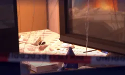 Almanya’da derin dondurucuda bir kadının cansız bedeni bulundu