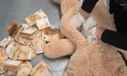 Hollanda’da oyuncak ayının içinden 50 bin euro çıktı