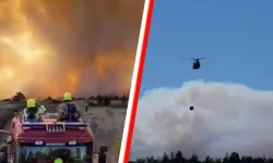 Hollanda’da askeri bölgede çıkan yangında 700 futbol sahası kadar alan yandı