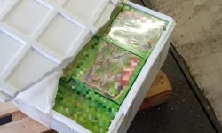 Türkiye’den Bulgaristan’a giden araçta 770 kilo katmer ve künefe ele geçirildi