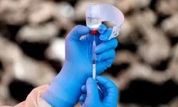 DSÖ’den Ebola alarmı: Aşısı olmayan varyant yayılıyor