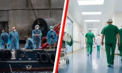 Hantavirüs salgını: Hollanda’da 12 sağlık çalışanı karantinaya alındı