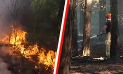 Hollanda’daki orman yangınına Almanya ve Fransa’dan destek geldi