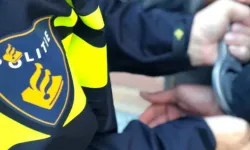 Hollanda’da kızlarını okula göndermeyip zorla çalıştıran ebeveynler gözaltına alındı
