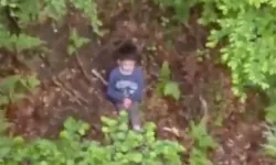 Ayıların yaşadığı ormanda kaybolan küçük çocuk 3 gün sonra sağ bulundu