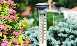 Hollanda'da salı günü sıcaklık 30 dereceyi aşacak